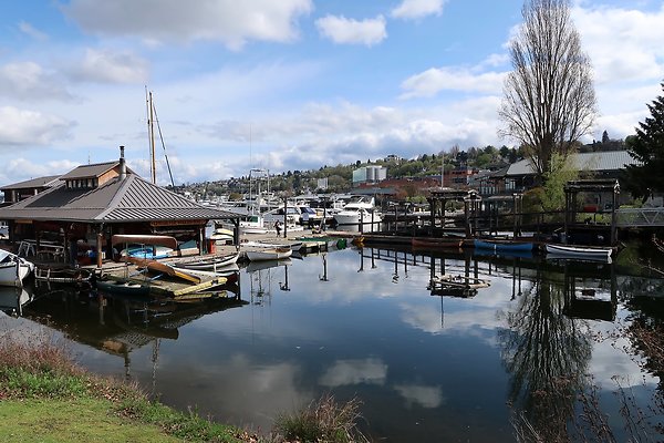 South Lake union 2025 - 4