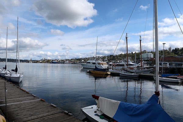 South Lake union 2025 - 12