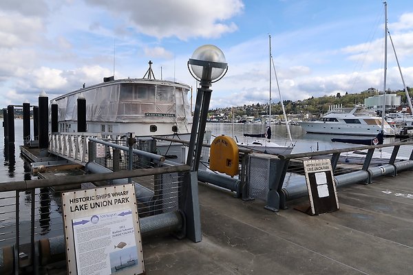 South Lake union 2025 - 15