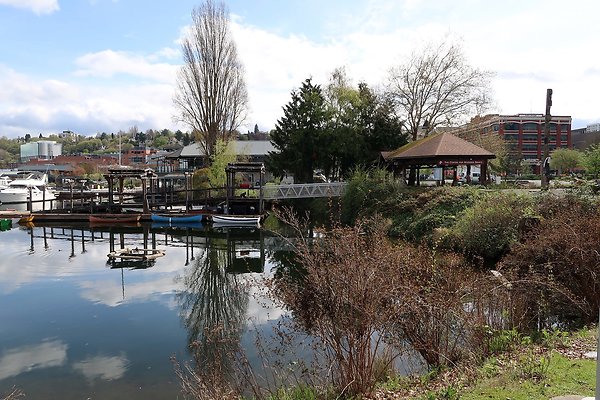 South Lake union 2025 - 5