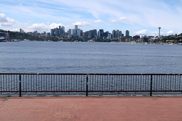 Gasworks Park Car Placement - 48