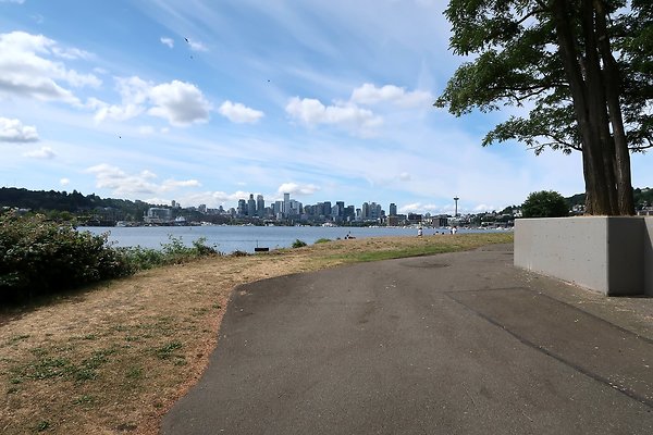 Gasworks Park Car Placement - 31
