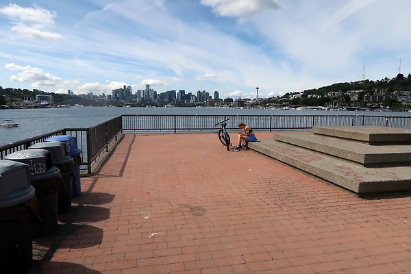 Gasworks Park Car Placement - 41