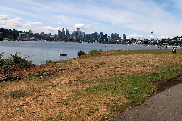 Gasworks Park Car Placement - 35