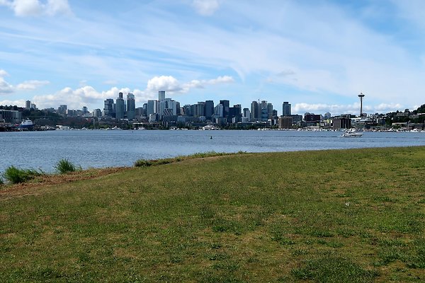 Gasworks Park Car Placement - 36