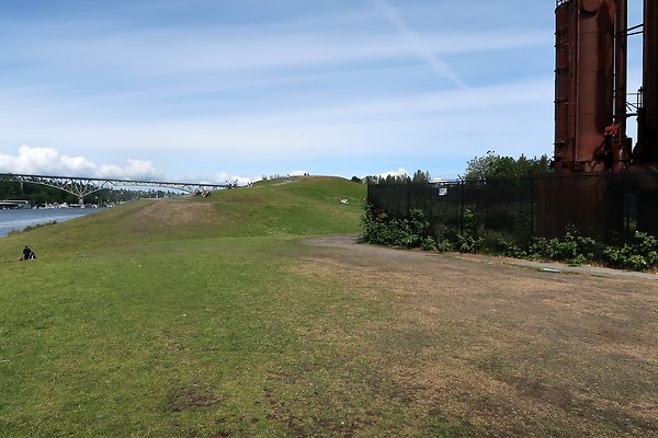 Gasworks Park Car Placement - 59