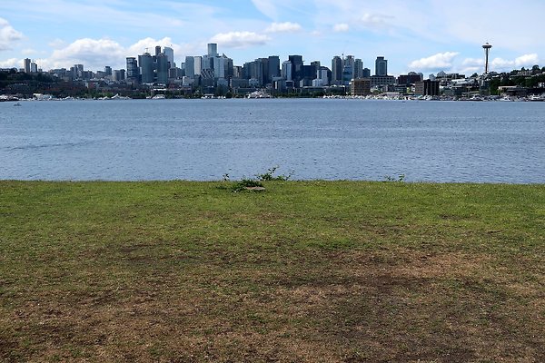 Gasworks Park Car Placement - 56