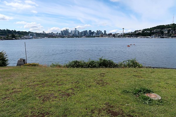 Gasworks Park Car Placement - 58