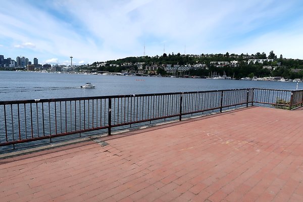 Gasworks Park Car Placement - 45