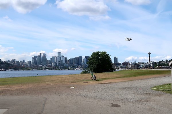 Gasworks Park Car Placement - 8