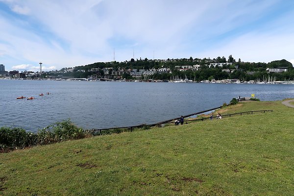 Gasworks Park Car Placement - 65
