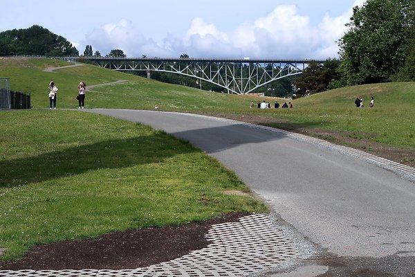 Gasworks Park Car Placement - 17