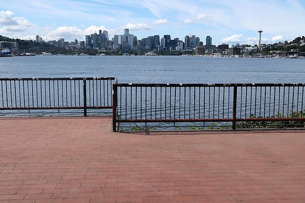 Gasworks Park Car Placement - 51