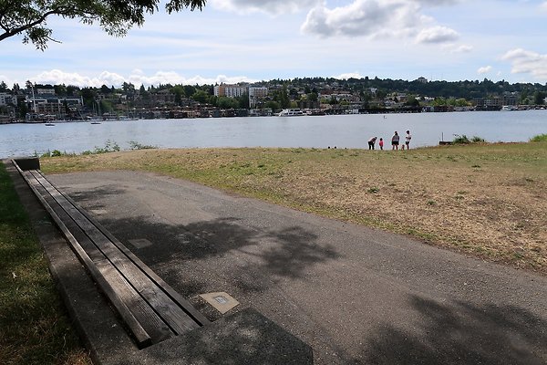Gasworks Park Car Placement - 25