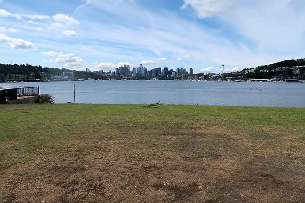 Gasworks Park Car Placement - 54