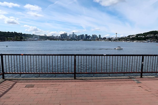 Gasworks Park Car Placement - 44