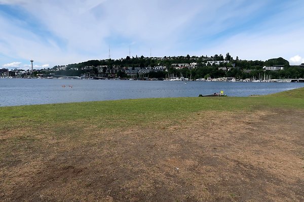 Gasworks Park Car Placement - 55