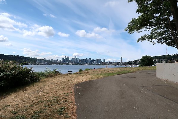 Gasworks Park Car Placement - 33