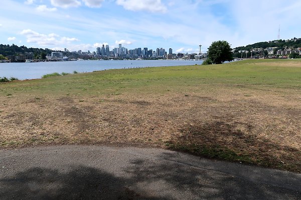 Gasworks Park Car Placement - 26
