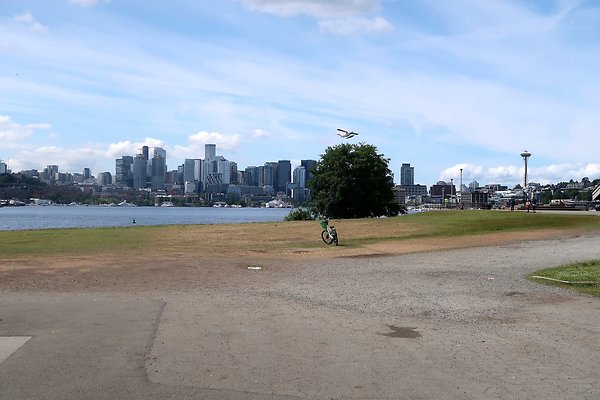 Gasworks Park Car Placement - 7
