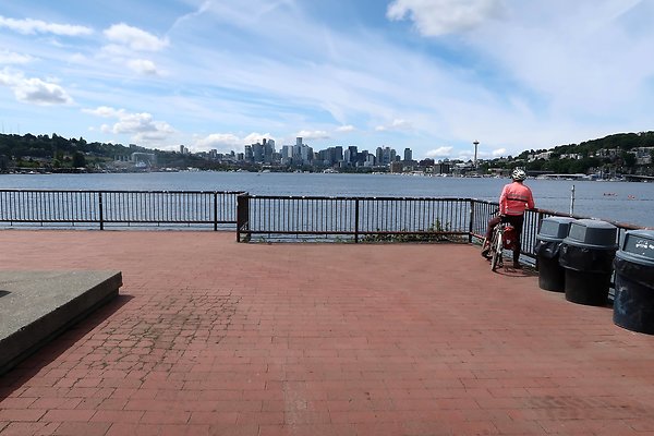 Gasworks Park Car Placement - 50