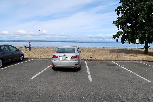 Golden Gardens Blvd Waterside road - 3