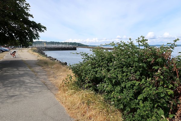 Golden Gardens Blvd Waterside road - 37