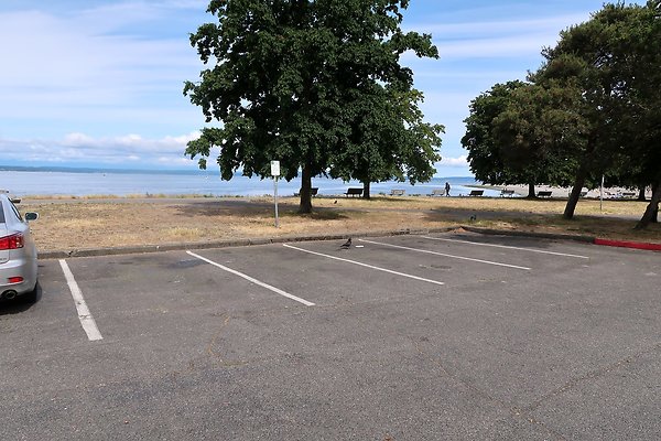 Golden Gardens Blvd Waterside road - 8