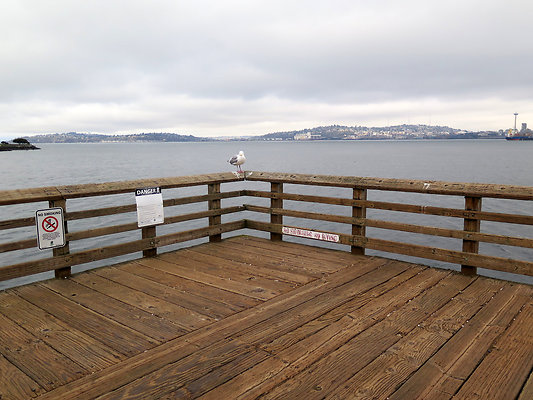 Seattle Alki Waterfront Aspen - 33