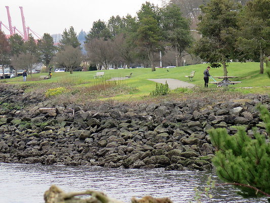 Seattle Alki Waterfront Aspen - 18