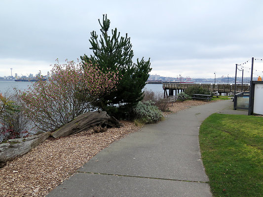 Seattle Alki Waterfront Aspen - 30