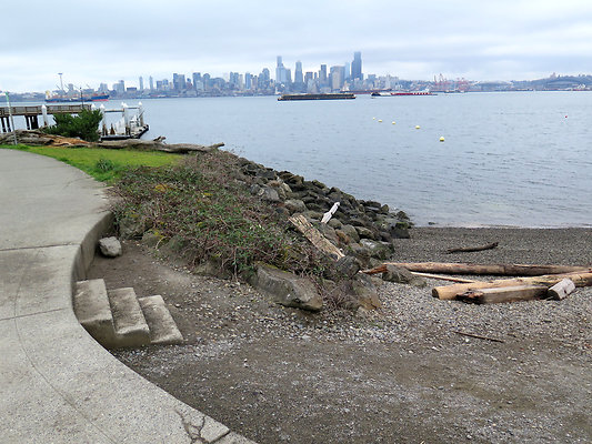 Seattle Alki Waterfront Aspen - 48