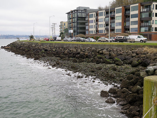 Seattle Alki Waterfront Aspen - 139