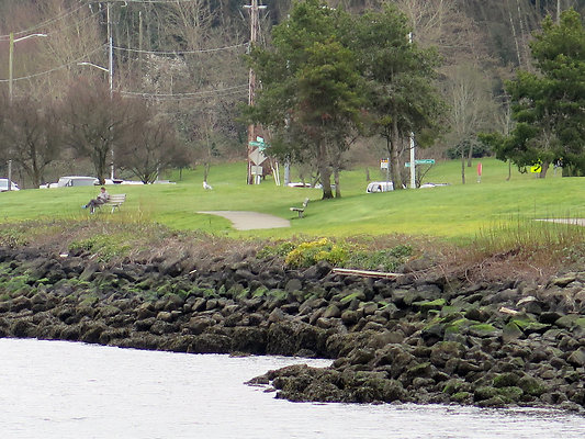 Seattle Alki Waterfront Aspen - 14