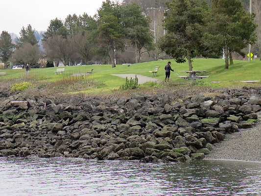 Seattle Alki Waterfront Aspen - 19