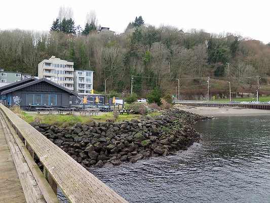 Seattle Alki Waterfront Aspen - 10