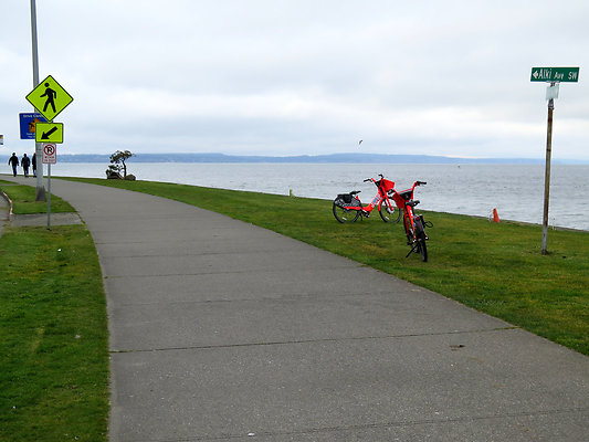 Seattle Alki Waterfront Aspen - 111