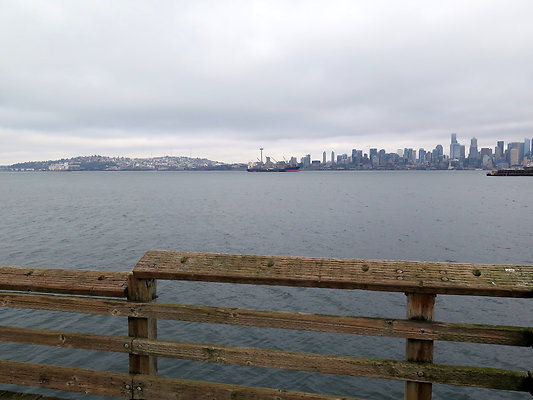 Seattle Alki Waterfront Aspen - 45