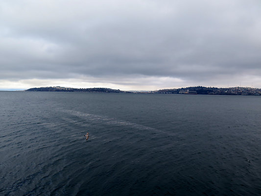 Seattle Alki Waterfront Aspen - 96