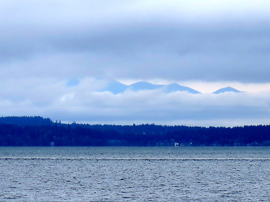 Seattle Alki Waterfront Aspen - 146