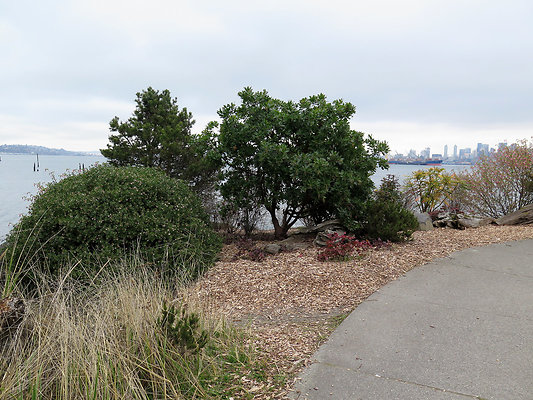 Seattle Alki Waterfront Aspen - 27