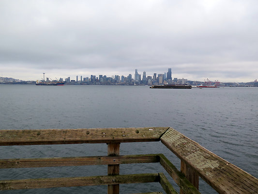 Seattle Alki Waterfront Aspen - 46