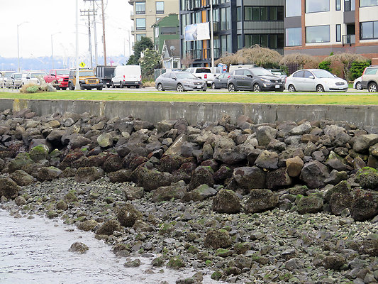 Seattle Alki Waterfront Aspen - 135