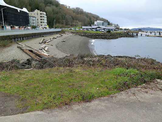 Seattle Alki Waterfront Aspen - 69