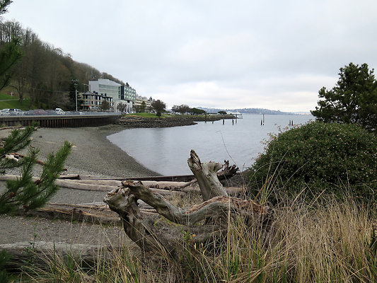 Seattle Alki Waterfront Aspen - 26