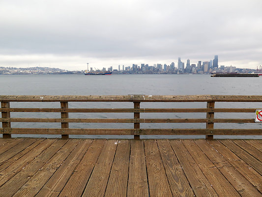 Seattle Alki Waterfront Aspen - 34