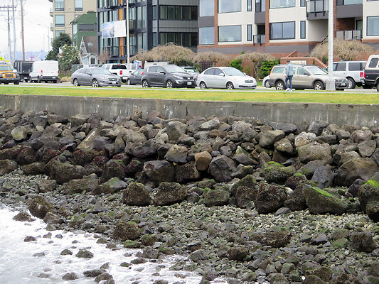 Seattle Alki Waterfront Aspen - 138