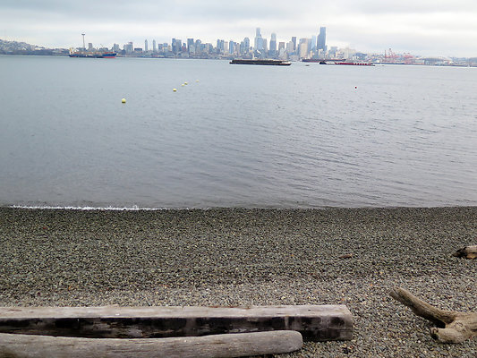 Seattle Alki Waterfront Aspen - 79