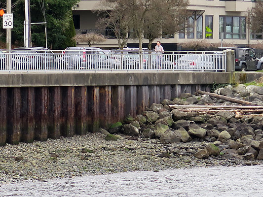 Seattle Alki Waterfront Aspen - 24
