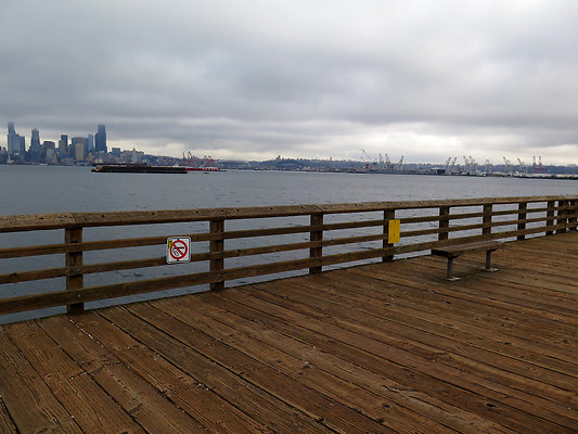 Seattle Alki Waterfront Aspen - 35